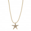 Collar cordón estrella plateada