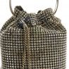 Bolso starlite mini cristal