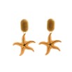 Pendiente creta estrella naranja