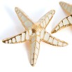 Pendiente creta estrella de mar blanco