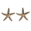 Pendiente creta estrella de mar negra