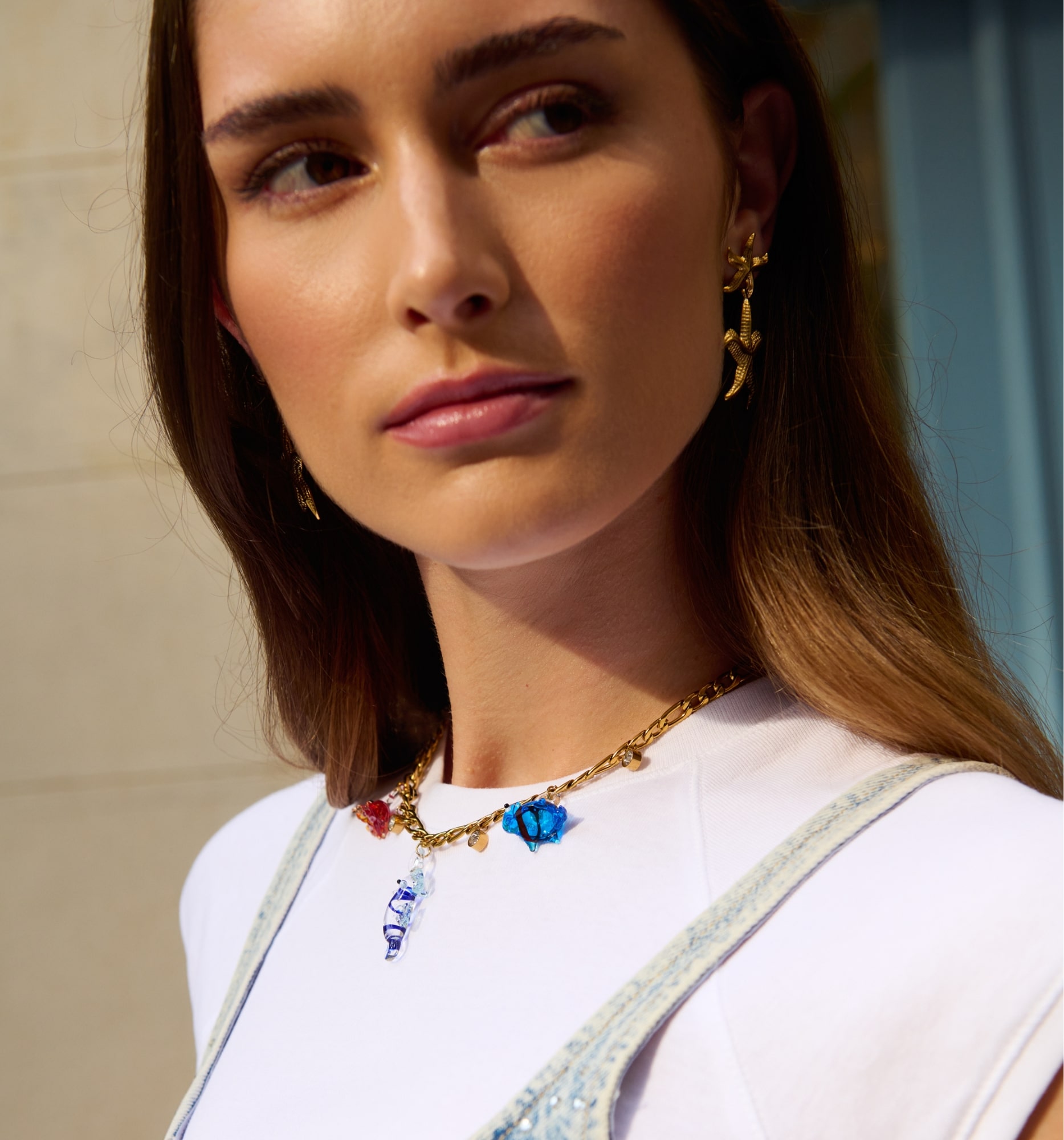 COLLARES