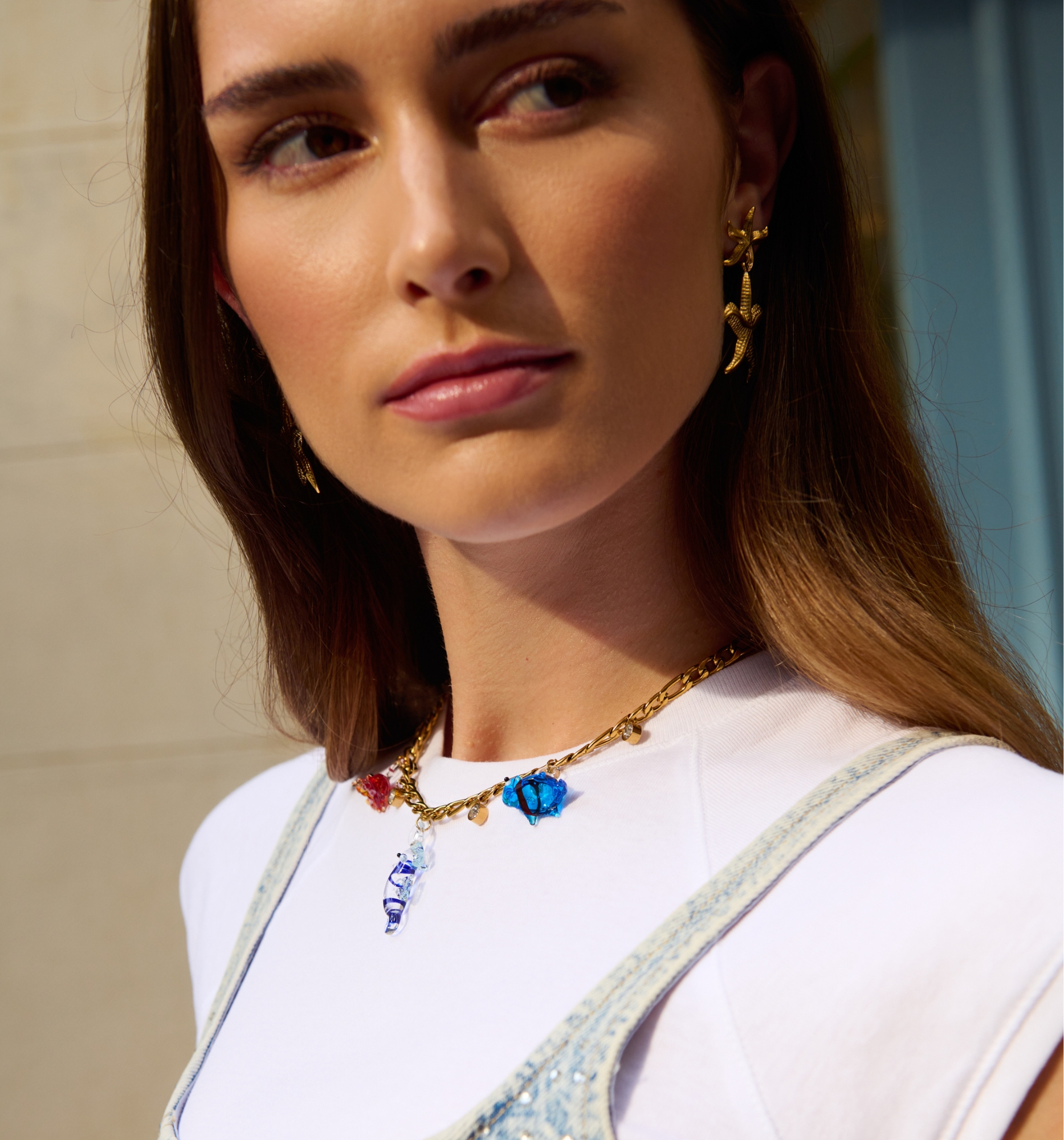 COLLARES